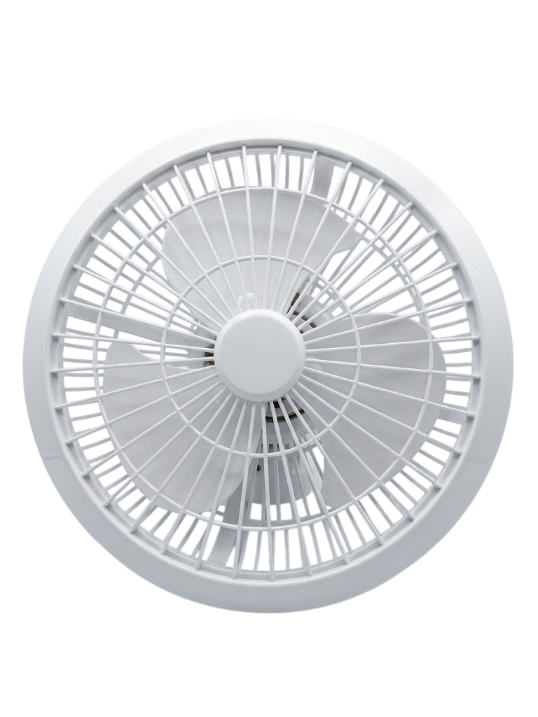 Fan