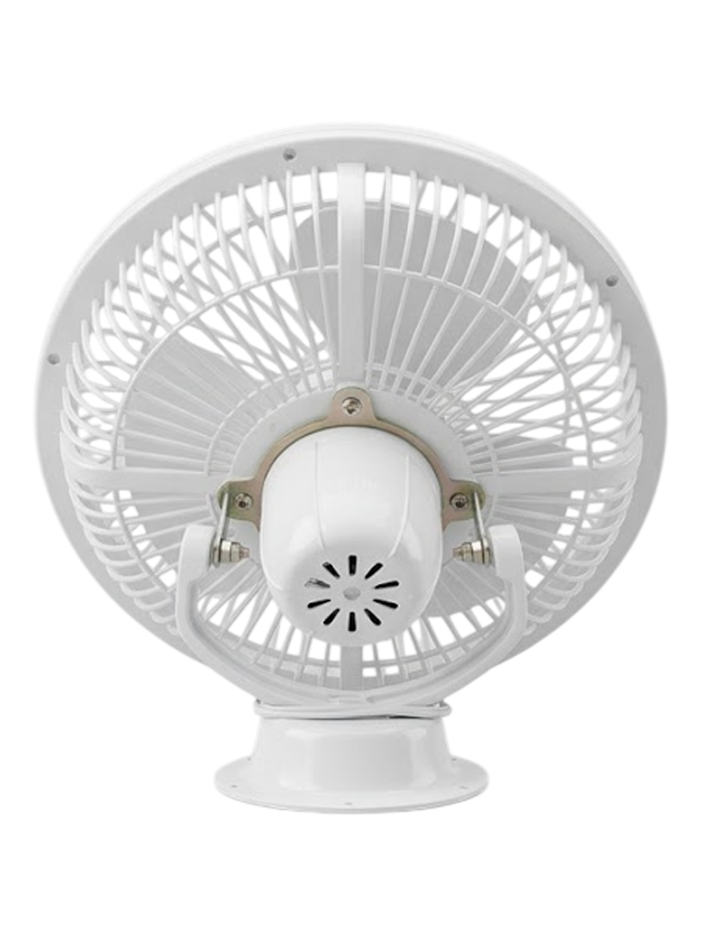 Fan