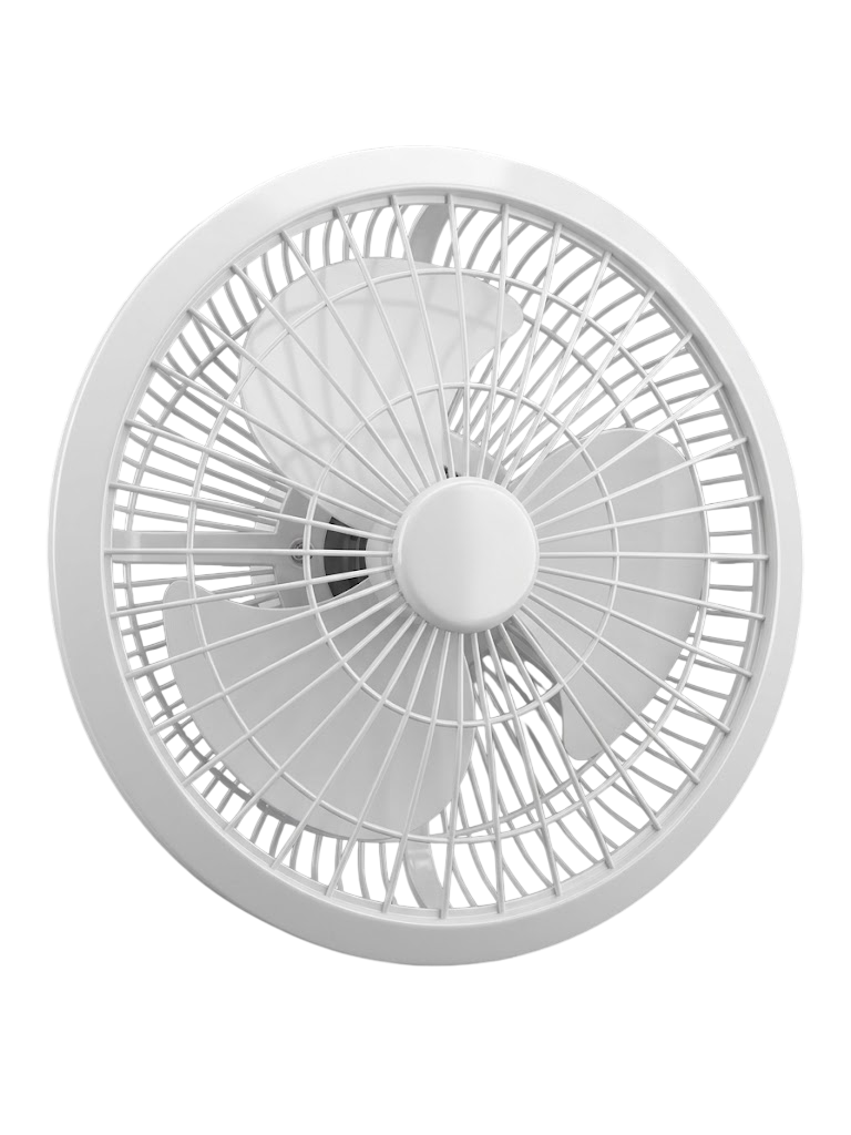 Fan